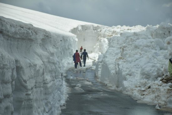 Kashmir Heights – Sinthan Top Specia Tour Package